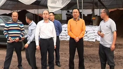 副市长温向芳率队到梅县区巡查程江河