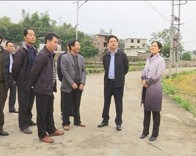 陈伟明调研新农村建设时强调：坚持“点线面”结合 打造宜居宜业宜游美丽乡村