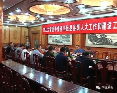 平远县镇人大工作和建设如何开展？市人大这样要求...