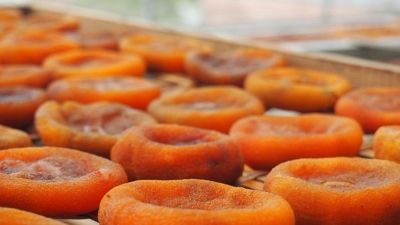 五华“大田柿花”走上产业化道路：涨到150元/斤 每年都不够卖