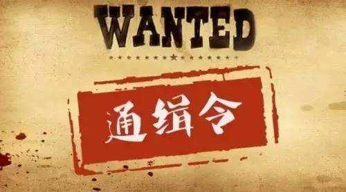 公安部公开通缉第二批10名重大文物犯罪在逃人员