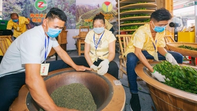第五届客家文博会开幕 展期持续6天 300多家企业参展 