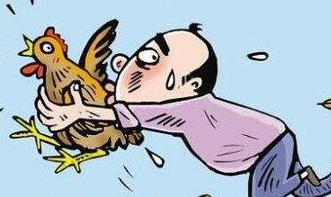 丰顺两男子偷了60多只鸡卖给农家乐，偷鸡买鸡者皆判刑