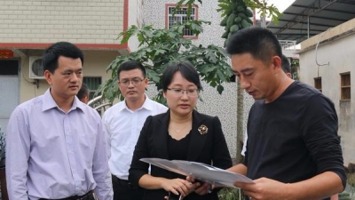 肖卫华到西阳镇直坑村宣讲党的十九大精神