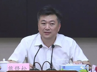 大埔召开县政府党组（扩大）会议，传达学习贯彻十九大精神