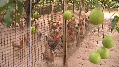 走进梅县桃尧松林村，听听村民谈变化、说未来