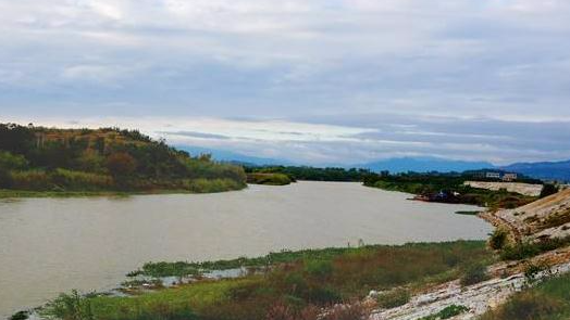 市政府督查组到丰顺督查榕江北河整治工作