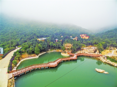 特刊丨丰顺县·招商篇：培育 “ 三大百亿” ”业产业现加快实现 “ 财丰人顺 ”