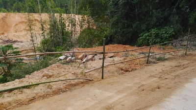 本报报道引关注，丰顺黄金镇集中清理道路沿线垃圾