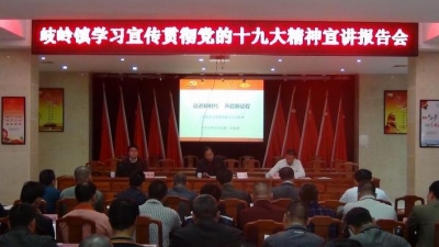 岐岭镇召开学习宣传贯彻党的十九大精神宣讲报告会