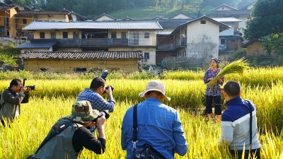 蕉岭蓝坊秋光好 美景引人来