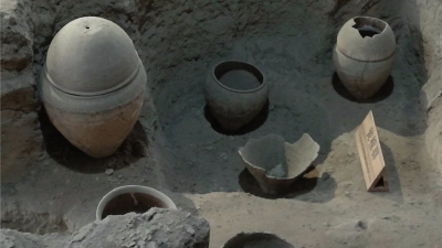 考据丨“负骸转徙”之说可休矣