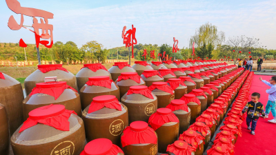 平远举行首届酒香节，今晚千人品“八尺酒” ！小编流口水