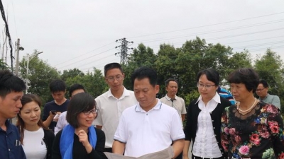 朱国城、肖卫华率队到西阳镇调研美丽乡村建设工作