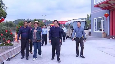 刘许川率队督查徒步大会及首届酒香节筹备工作