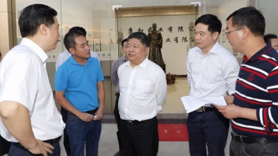 吴晖率队检查客商大会项目建设推进情况