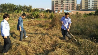 兴宁农业局开展禁止秸秆焚烧联合整治行动