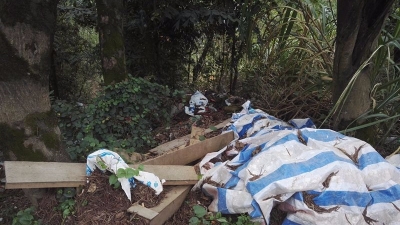 护栏缺口竟成垃圾堆！蕉岭X045县道溪峰河大桥附近环境堪忧