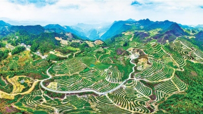 特刊丨梅江台湾农民创业园：两岸客商互联迎盛会 梅台农业携手创未来