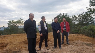 甘飞鸿到横陂镇新联村调研森林防火基础设施建设