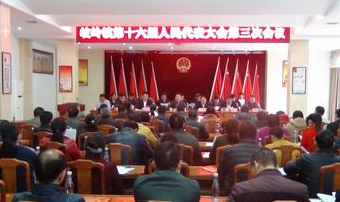 五华岐岭镇顺利召开第十六届人民代表大会第三次会议 