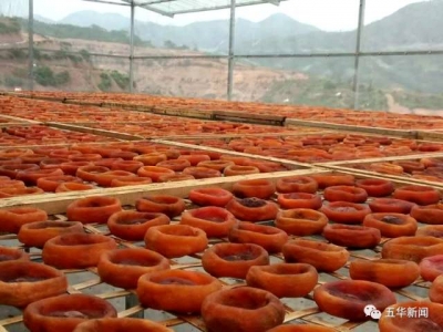 大田柿花、七畲径茶，五华地理标志产品又添两“新成员”