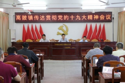 高陂镇召开传达学习贯彻党的十九大精神大会