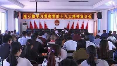 胡新文到东石镇宣讲党的十九大精神