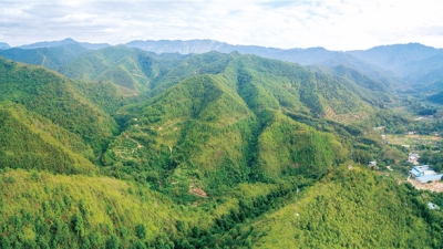 特刊丨纪念九龙嶂革命根据地创建90周年