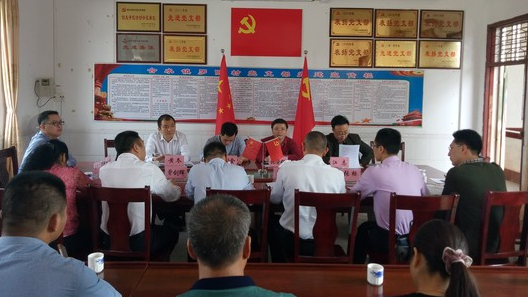 梅州市委组织部到罗陂村督查基层党组织建设工作
