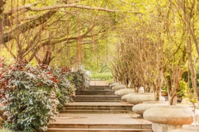 你四处寻找的秋，在“嘉”里