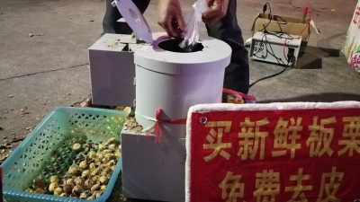 见闻丨板栗去壳机