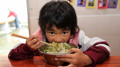 山里娃吃上了免费午餐