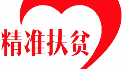 雷忠良一行到岐岭镇黄塔村开展新时期精准扶贫调研工作