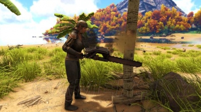 为让自家柚树生长 他竟将十几亩集体林木毁坏