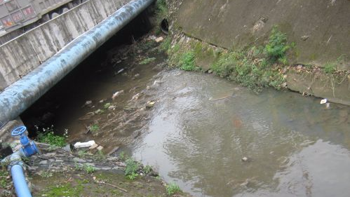 梅江区206国道通往城北镇政府一垃圾水沟 臭气熏人