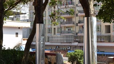 见闻丨人靠衣装，芒果树也要着“铁衣”！