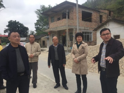 饶凌云率队到大埔隔背村调研新农村示范村建设工作
