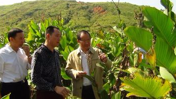 广州市文广新局领导到岐岭镇黄福村开展精准扶贫调研