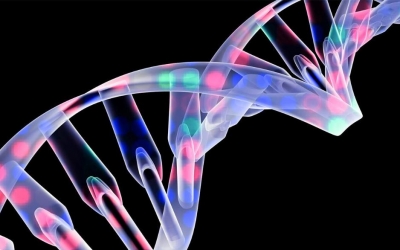 棒棒哒！硅谷科学家回梅建客家人基因库