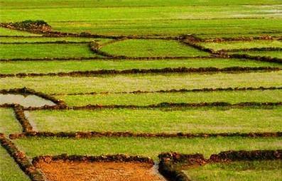 大埔组织收听收看全国冬春农田水利基本建设电视电话会议