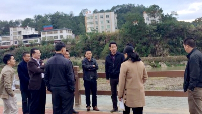 刘采峰巡查漳溪河 落实河长制工作