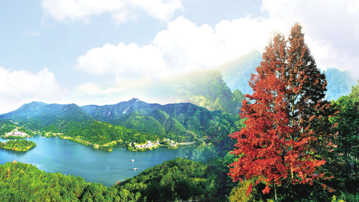 特刊丨蕉岭县·招商篇：擦亮寿乡 品牌谱写绿色发展新篇