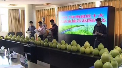 梅县区十大优质金柚园评比结果出炉