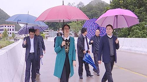 罗桂芳率队到柚树河开展河长巡河工作