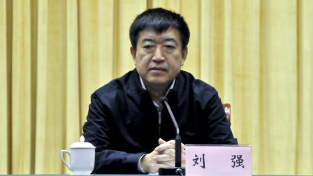 再打一虎！辽宁省副省长刘强涉嫌严重违纪被查