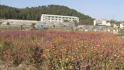 梅县区：让农民更富 农村更美 农业更强