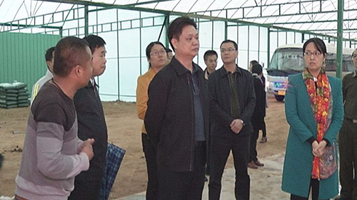 陈伟明调研新农村建设：完善规划 突出重点 全力加快新农村建设