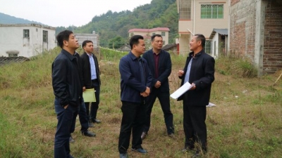 朱汉东到枫朗镇随机抽查精准扶贫工作推进情况