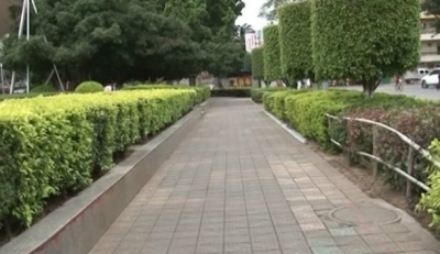 创卫实惠看得见，兴宁市民都来点赞